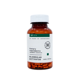 ACTIVADOR GLANDULAR | N° 574